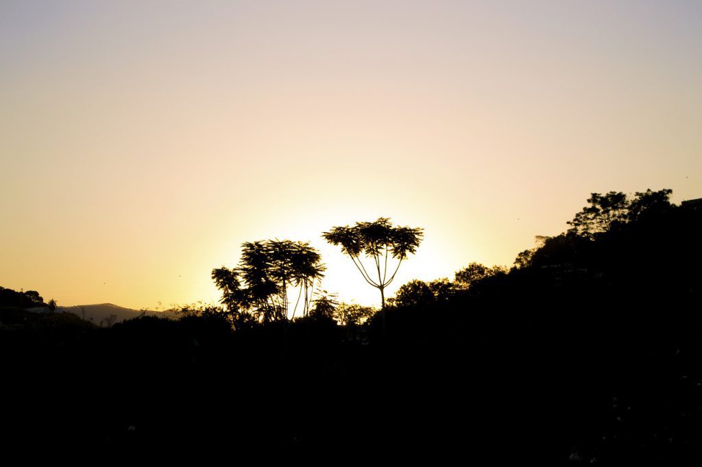 Maiores cidades de Minas Gerais_Ipatinga