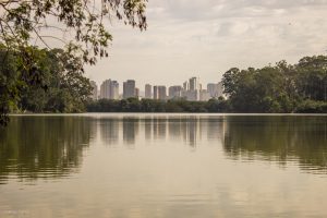 Lugares em São Paulo para morar sem ter um carro